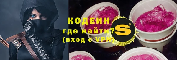 спиды Пересвет