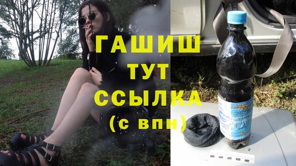 спиды Пересвет