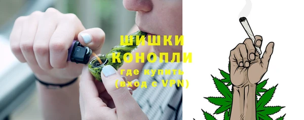 спиды Пересвет