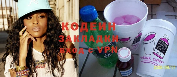 спиды Пересвет