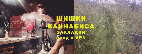 спиды Пересвет