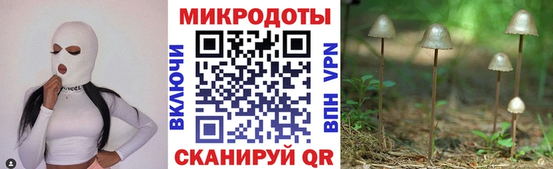 Псилоцибиновые грибы Psilocybe  Купить  Прокопьевск 